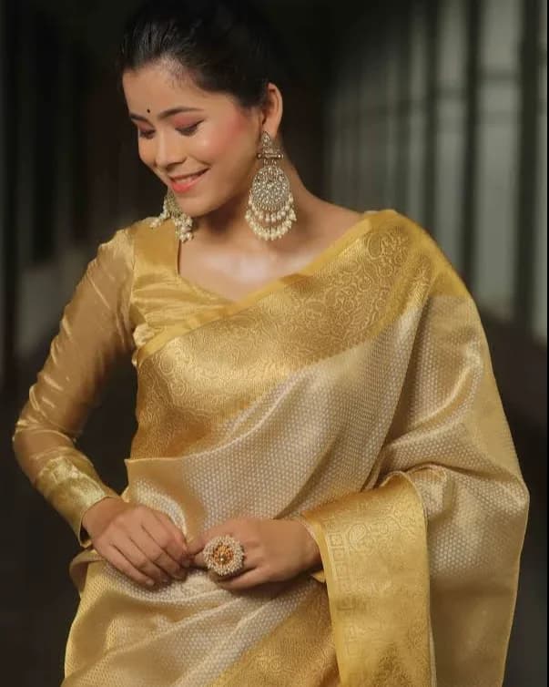 Banarasi Silk Saree